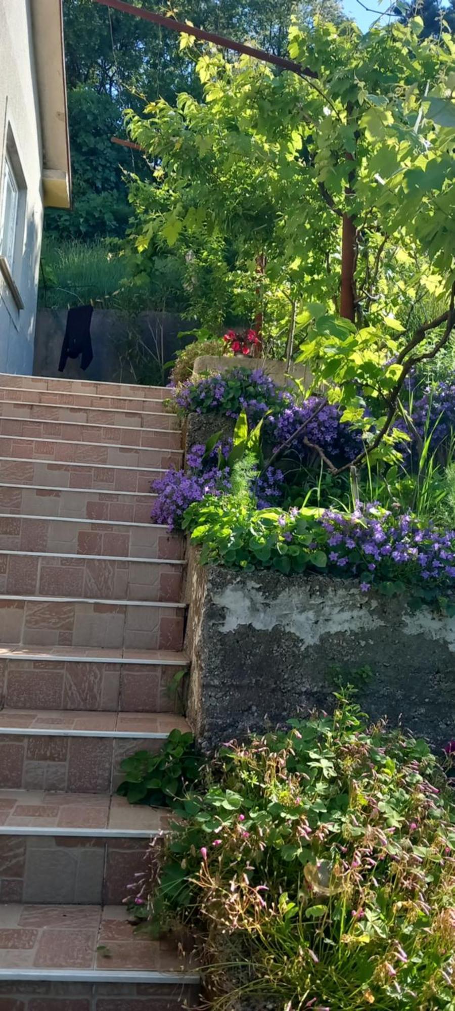 Apartman Svilno Fiume Esterno foto
