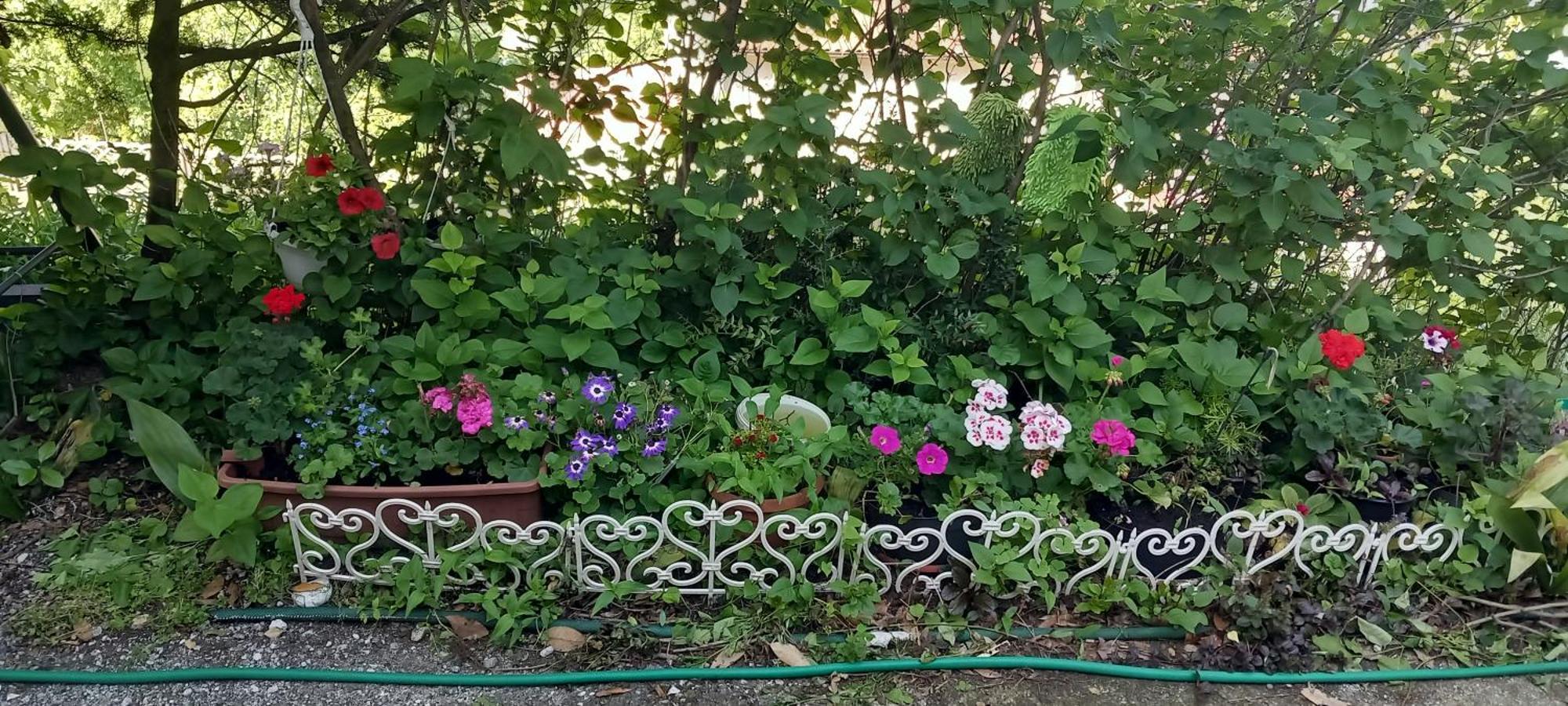 Apartman Svilno Fiume Esterno foto